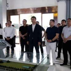 Товаропроизводители Туркестанской области и Китая развивают двусторонние связи