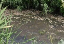 На зловония жалуются жители «Ынтымак-2» Зловоние