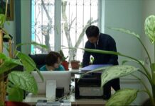 Может ли искусственный интеллект заменить работу госаппарата?