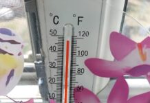 Почти 47°C жары показывают столбики термометров в Шымкенте