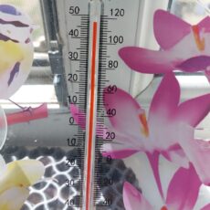 Почти 47°C жары показывают столбики термометров в Шымкенте
