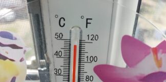 Почти 47°C жары показывают столбики термометров в Шымкенте