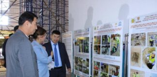 Министр культуры и информации посетила духовную столицу