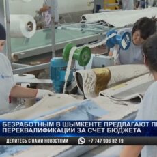 Количество безработных в Шымкенте превысило 17 тысяч человек