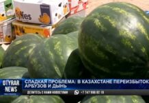 Сладкая проблема: в Казахстане переизбыток арбузов и дынь
