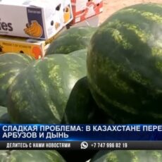 Сладкая проблема: в Казахстане переизбыток арбузов и дынь