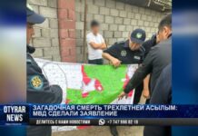 Страшные подробности гибели 3-летней девочки озвучили в МВД