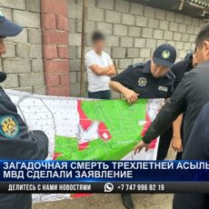 Страшные подробности гибели 3-летней девочки озвучили в МВД