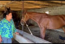 Экстренный вызов 21 августа: происшествия в Шымкенте