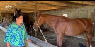 Экстренный вызов 21 августа: происшествия в Шымкенте