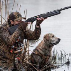 Как безопасно и законно заниматься охотой