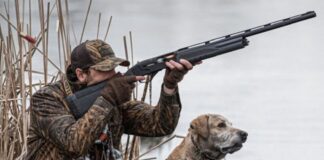 Как безопасно и законно заниматься охотой