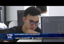 Цифровой бум ожидается в Шымкенте