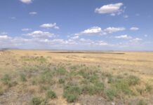 Жители Кентау боятся, что могут провалиться под землю