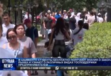 В Шымкенте волонтёры научат молодёжь составлять бизнес-планы