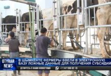 Фермерам, которые подали ложные сведения для получения субсидий, вынесли приговор