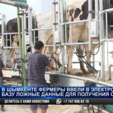 Фермерам, которые подали ложные сведения для получения субсидий, вынесли приговор