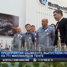 Предприятия Шымкента выпустили в этом году продукцию на 711 млрд тенге