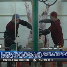 Мясо из Туркестанской области впервые экспортировали в Таджикистан