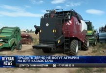 Продать зерно не могут аграрии на юге Казахстана