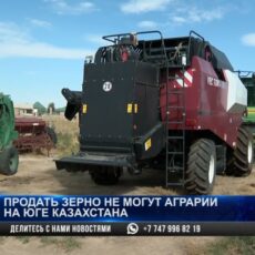 Продать зерно не могут аграрии на юге Казахстана