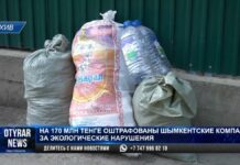 На 170 млн тенге оштрафованы компании Шымкента за экологические нарушения