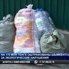 На 170 млн тенге оштрафованы компании Шымкента за экологические нарушения