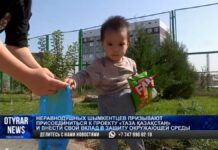 Горожан призывают активнее оказывать помощь в наведении чистоты в Шымкенте