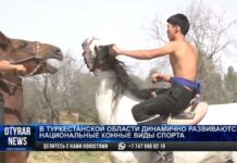 В Туркестанской области развивают национальные конные виды спорта