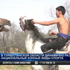 В Туркестанской области развивают национальные конные виды спорта