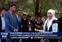 Жители Бозарыка обеспокоены проблемой бездомных собак