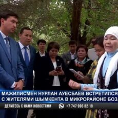 Жители Бозарыка обеспокоены проблемой бездомных собак