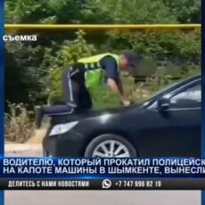 Водителя, прокатившего полицейского на капоте, приговорили к 2 годам ограничения свободы