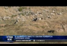 В Шымкенте возобновили проект рекультивации старого мусорного полигона