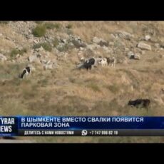 В Шымкенте возобновили проект рекультивации старого мусорного полигона