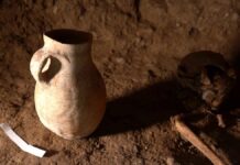 Уникальное захоронение обнаружили археологи в Толебийском районе