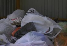 Более 255 млн тенге штрафов: усилены меры наказания за выброс мусора в Шымкенте