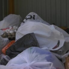 Более 255 млн тенге штрафов: усилены меры наказания за выброс мусора в Шымкенте