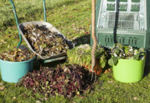 Самое осеннее удобрение