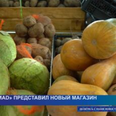 В Шымкенте открылся новый супермаркет сети «GraMaD»