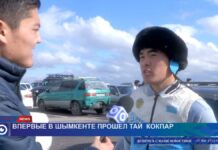 В Шымкенте прошел тай кокпар в честь известного жеребца