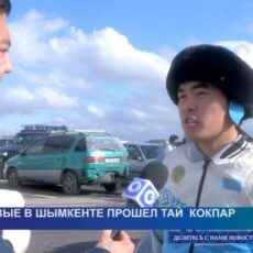 В Шымкенте прошел тай кокпар в честь известного жеребца