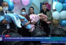 В Туркестанской области на свет появилась восьмая тройня с начала года