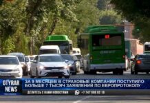 Европротокол без ошибок: есть борода, а в правах на фото нет — у вас проблемы