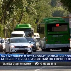 Европротокол без ошибок: есть борода, а в правах на фото нет — у вас проблемы