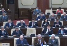 Депутаты выразили озабоченность фактами суицида среди детей