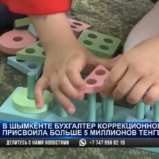 Бухгалтера детского сада в Шымкенте осудили за хищение