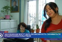 Чиновникам могут дать возможность совмещать бизнес с госслужбой