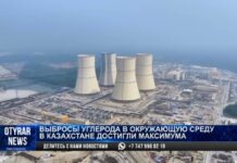 Выбросы углерода в окружающую среду в Казахстане достигли максимума