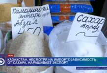 Казахстан, несмотря на импортозависимость, наращивает экспорт сахара